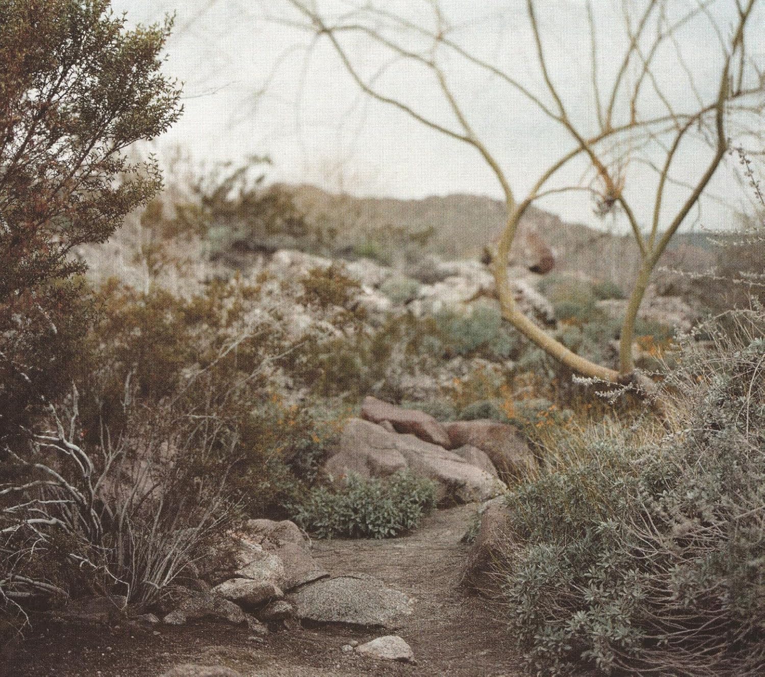 Lizz Wright - Dreaming Wide Awake - Image 2