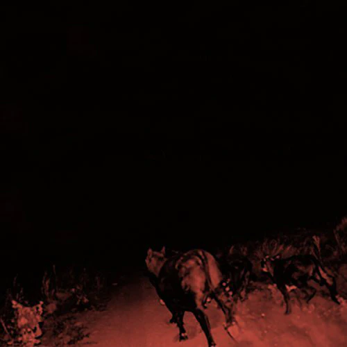Shadow On Everything - Image 2
