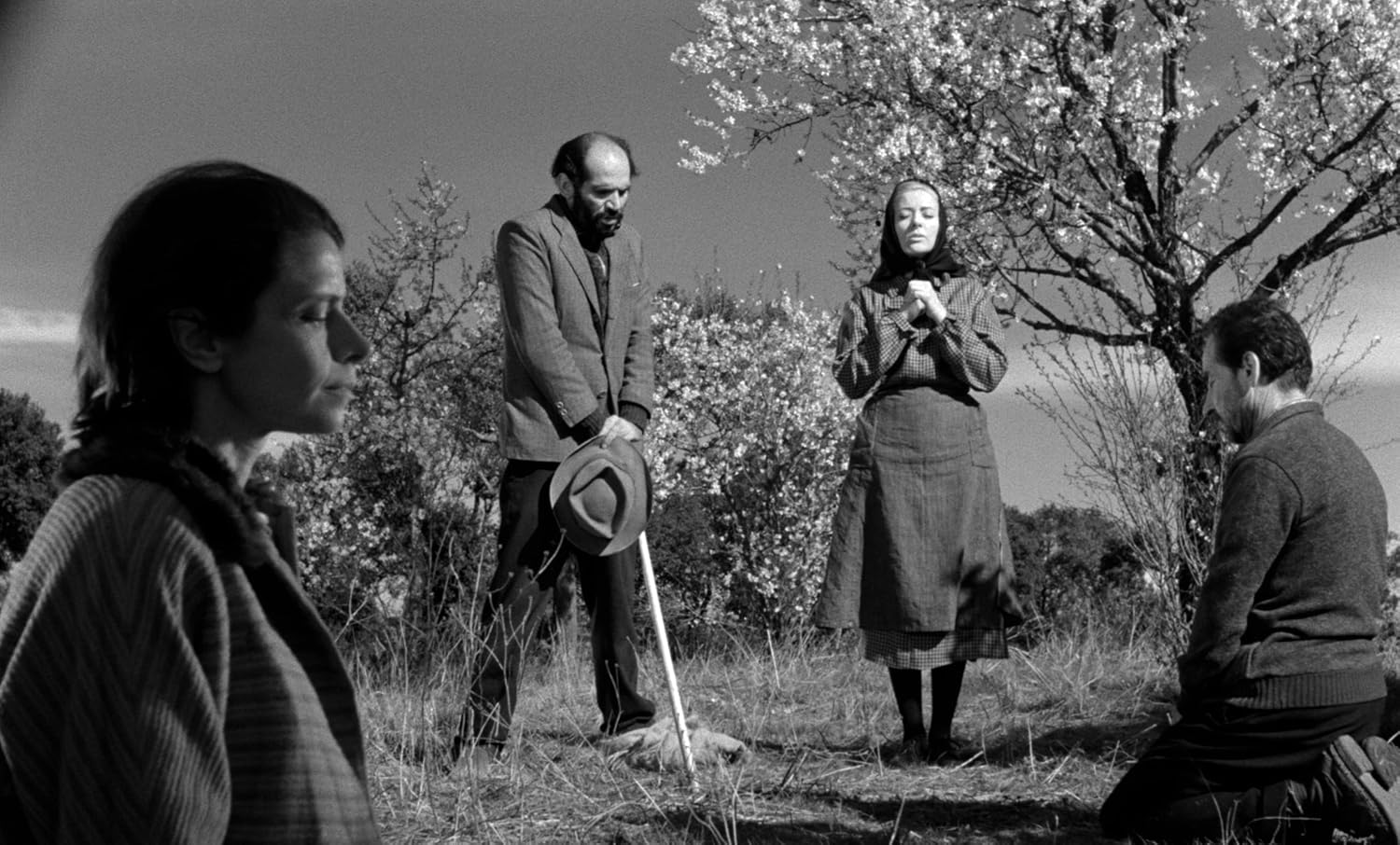 Viridiana (The Criterion Collection) - Image 2