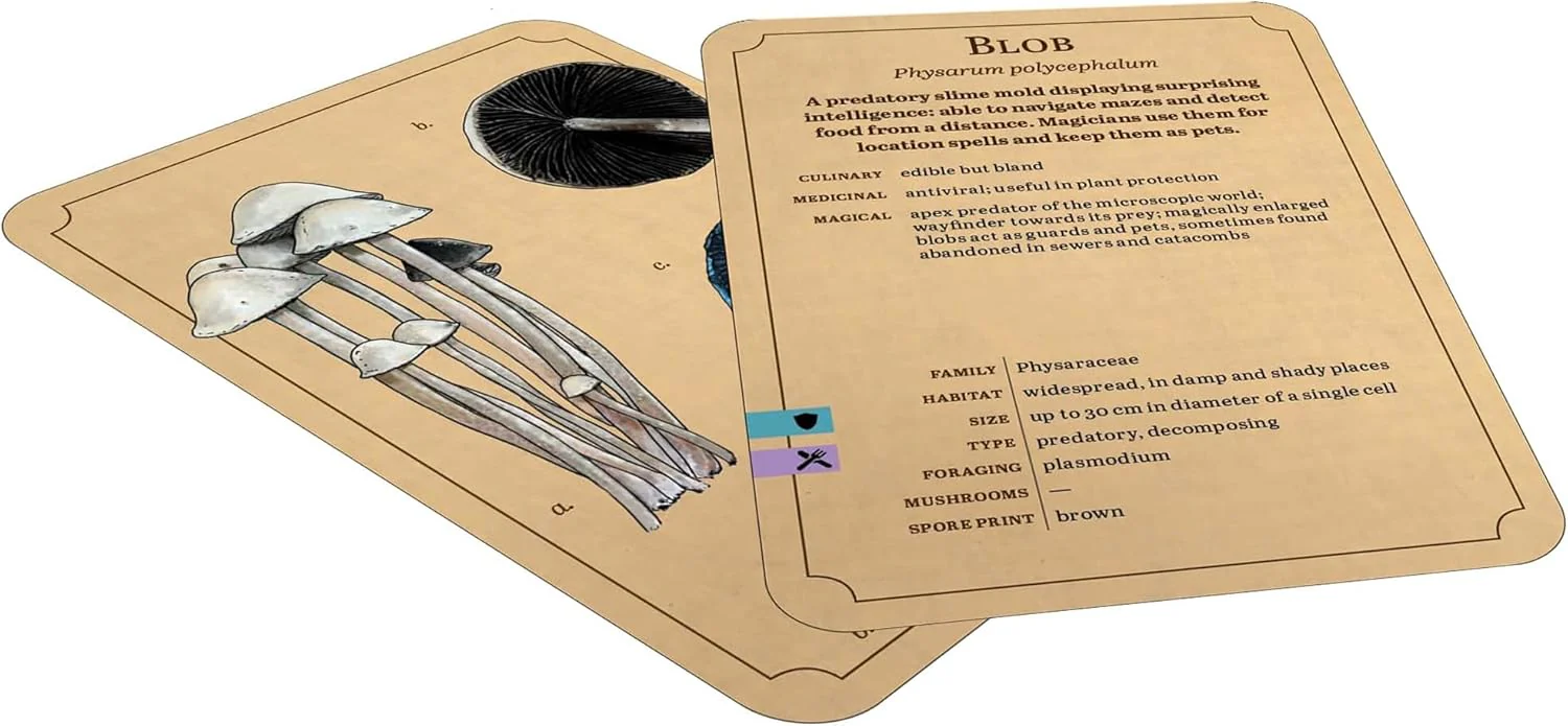Renegade Games: Mycologist’s Primer Flash Cards - 100 Card Deck of Flash Cards, Items in Mycologist’s Primer, A System Agnostic for Any RPG System - Image 3