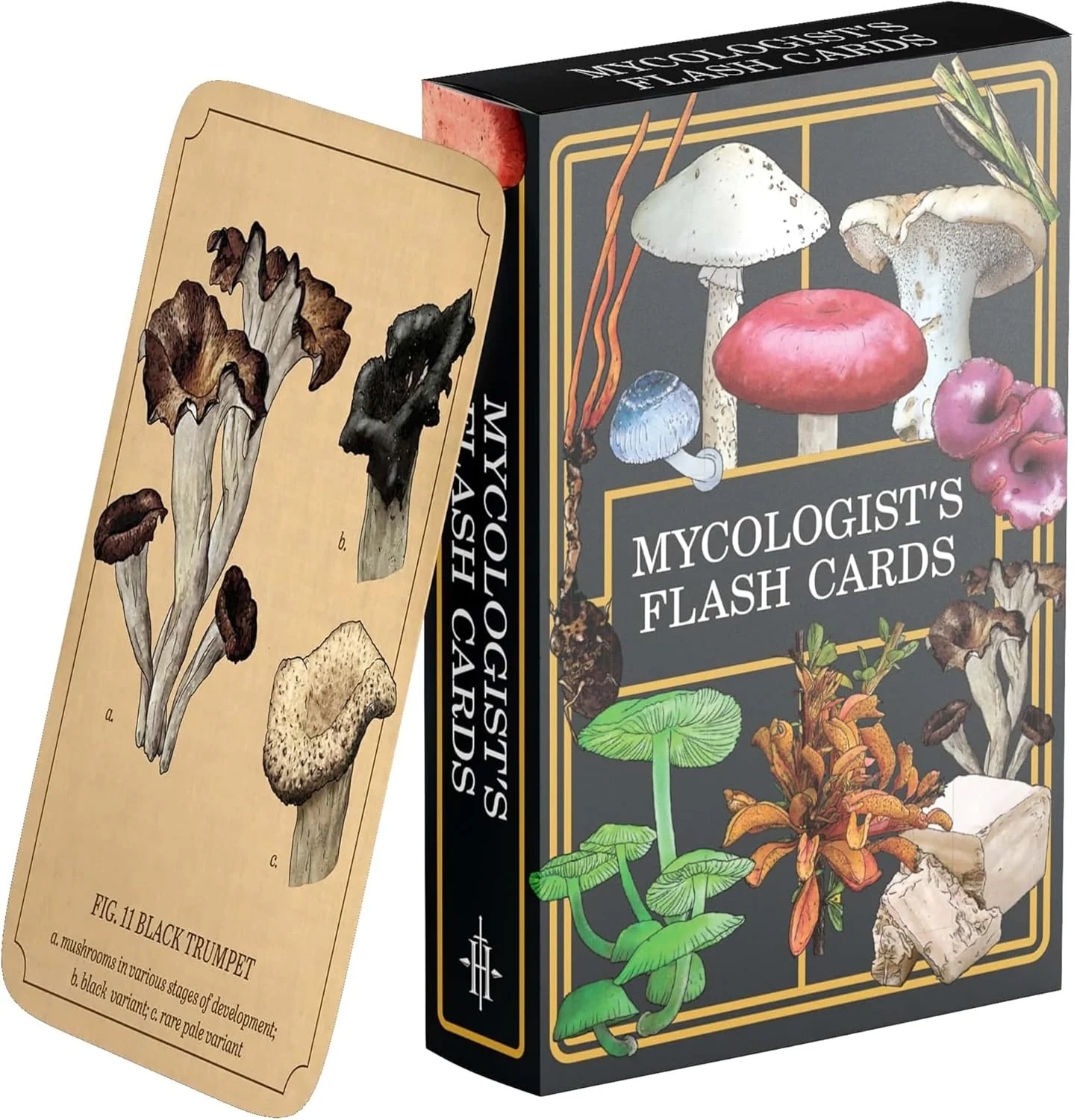 Renegade Games: Mycologist’s Primer Flash Cards - 100 Card Deck of Flash Cards, Items in Mycologist’s Primer, A System Agnostic for Any RPG System - Image 5