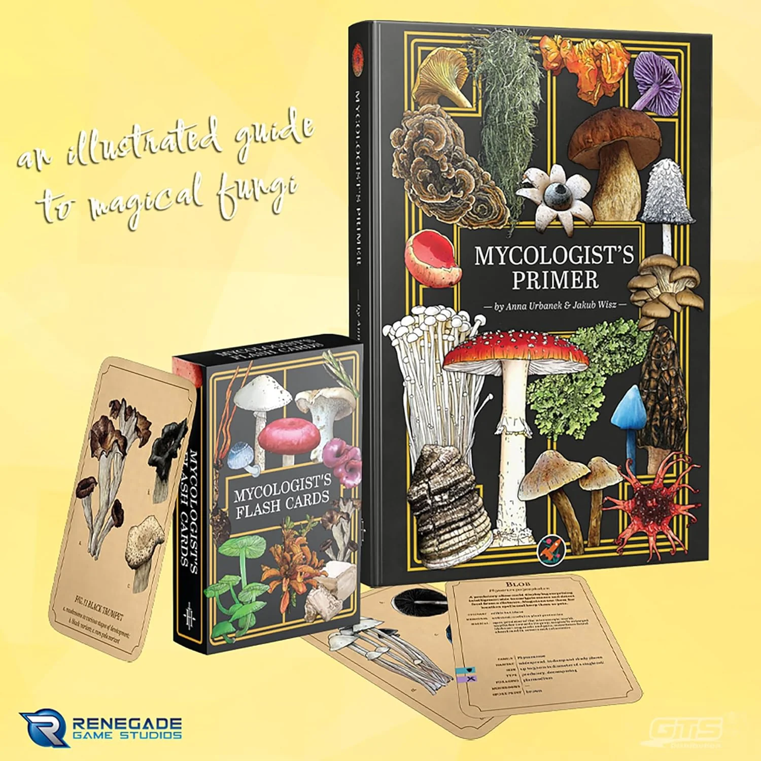 Renegade Games: Mycologist’s Primer Flash Cards - 100 Card Deck of Flash Cards, Items in Mycologist’s Primer, A System Agnostic for Any RPG System - Image 6