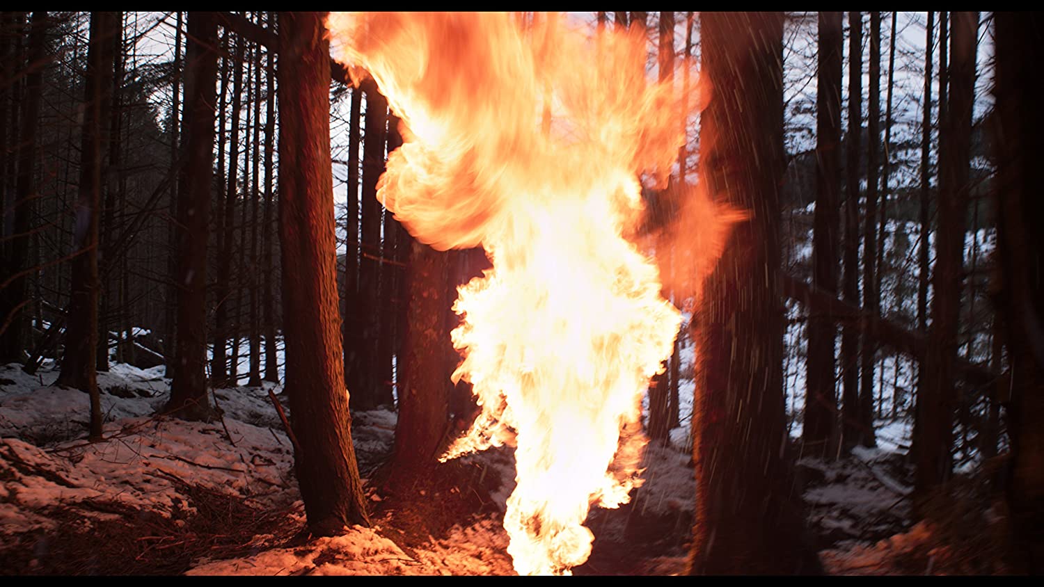 Under the Skin - Image 4