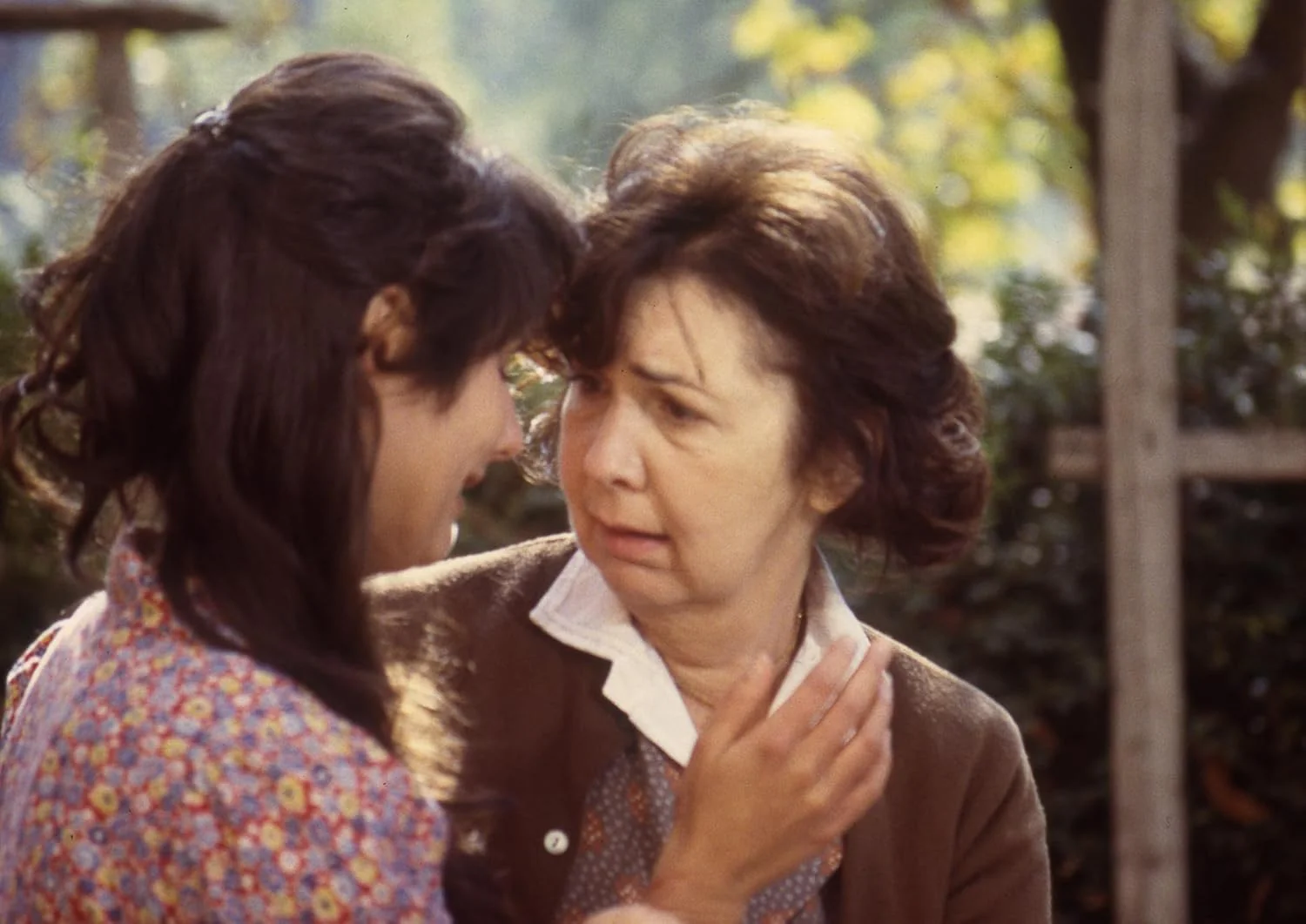 Rachel Et Ses Amours - Image 5