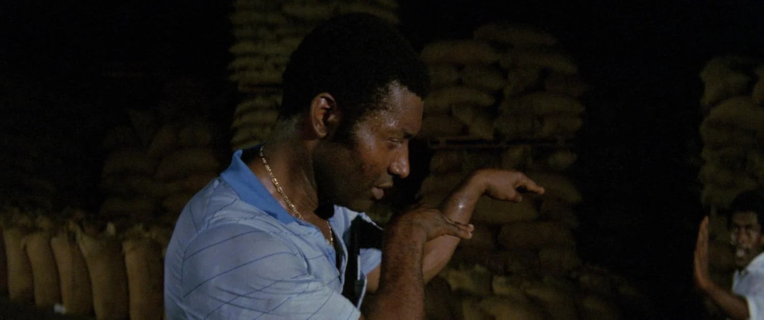 Cameroun connection - Image 6