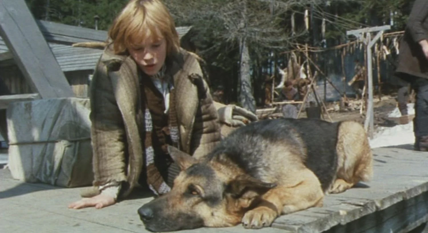 Le Retour De Buck Le Loup - Image 8