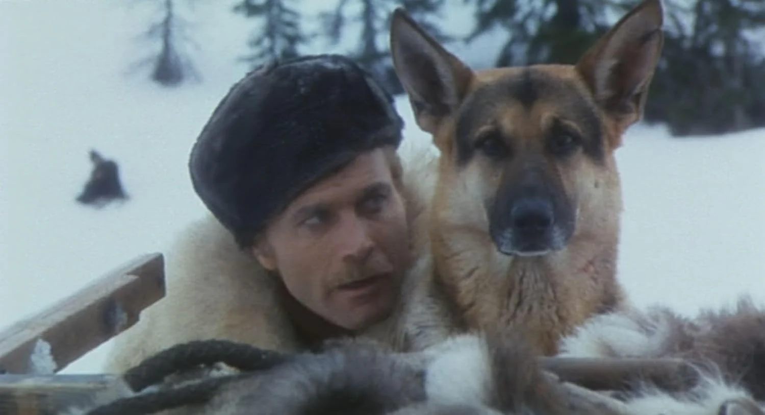 Le Retour De Buck Le Loup/Blu-Ray - Image 3