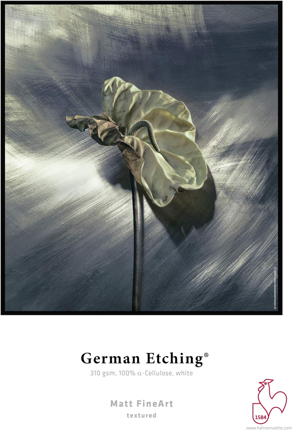 Hahnemühle Digital Fine Art German Etching Paper 310 g/m² 329 x 483 mm White - Image 4