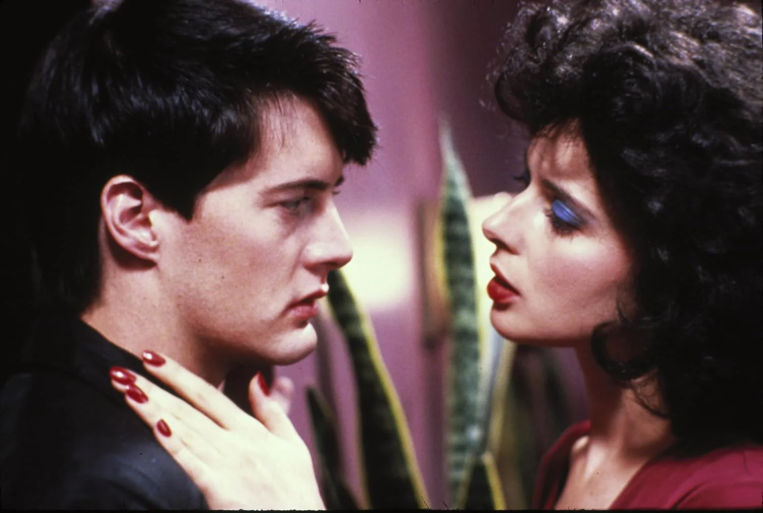 Blue Velvet (Mediabook A, 4K-UHD+2 Blu-rays - Image 3