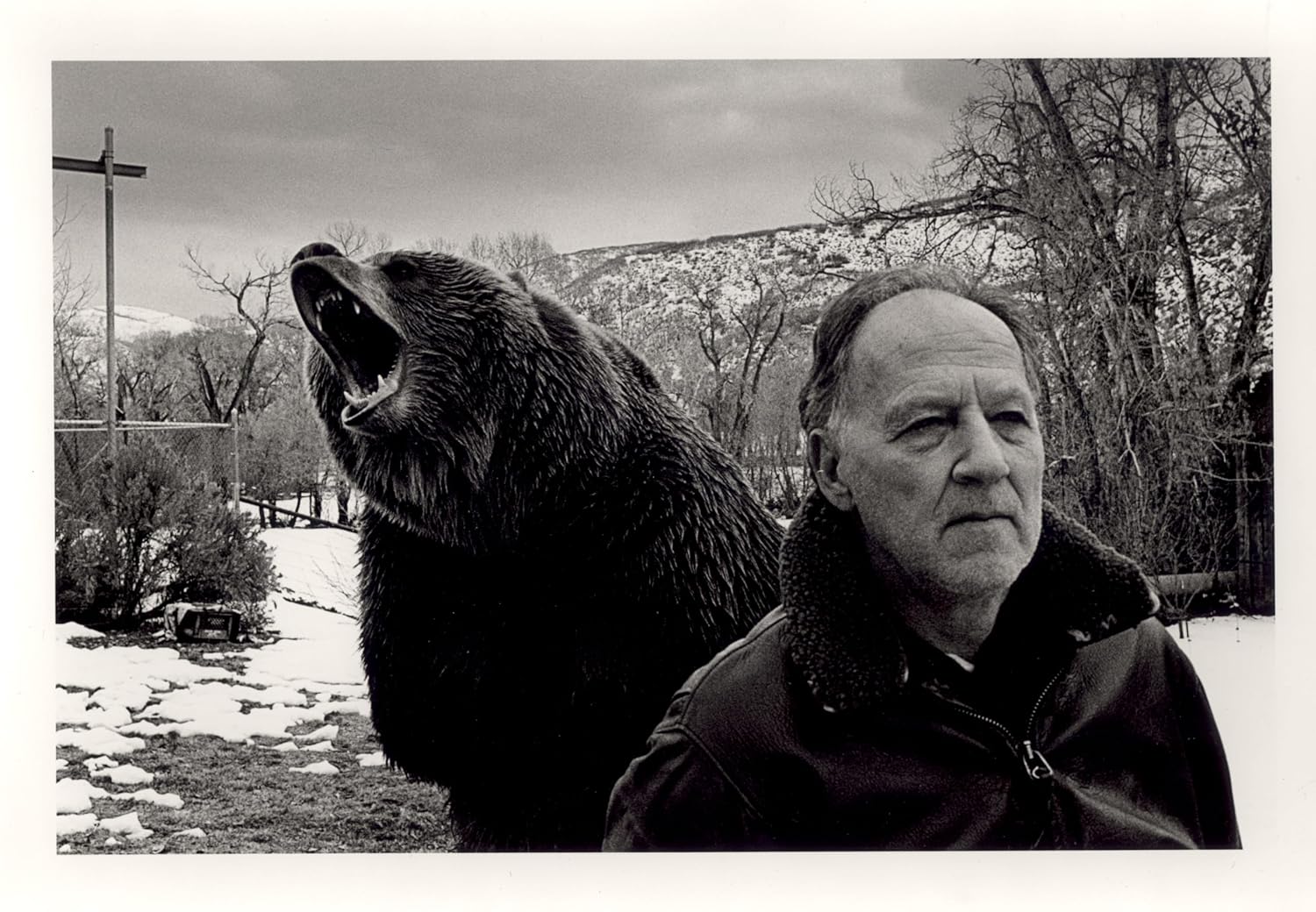 GRIZZLY MAN - Image 5