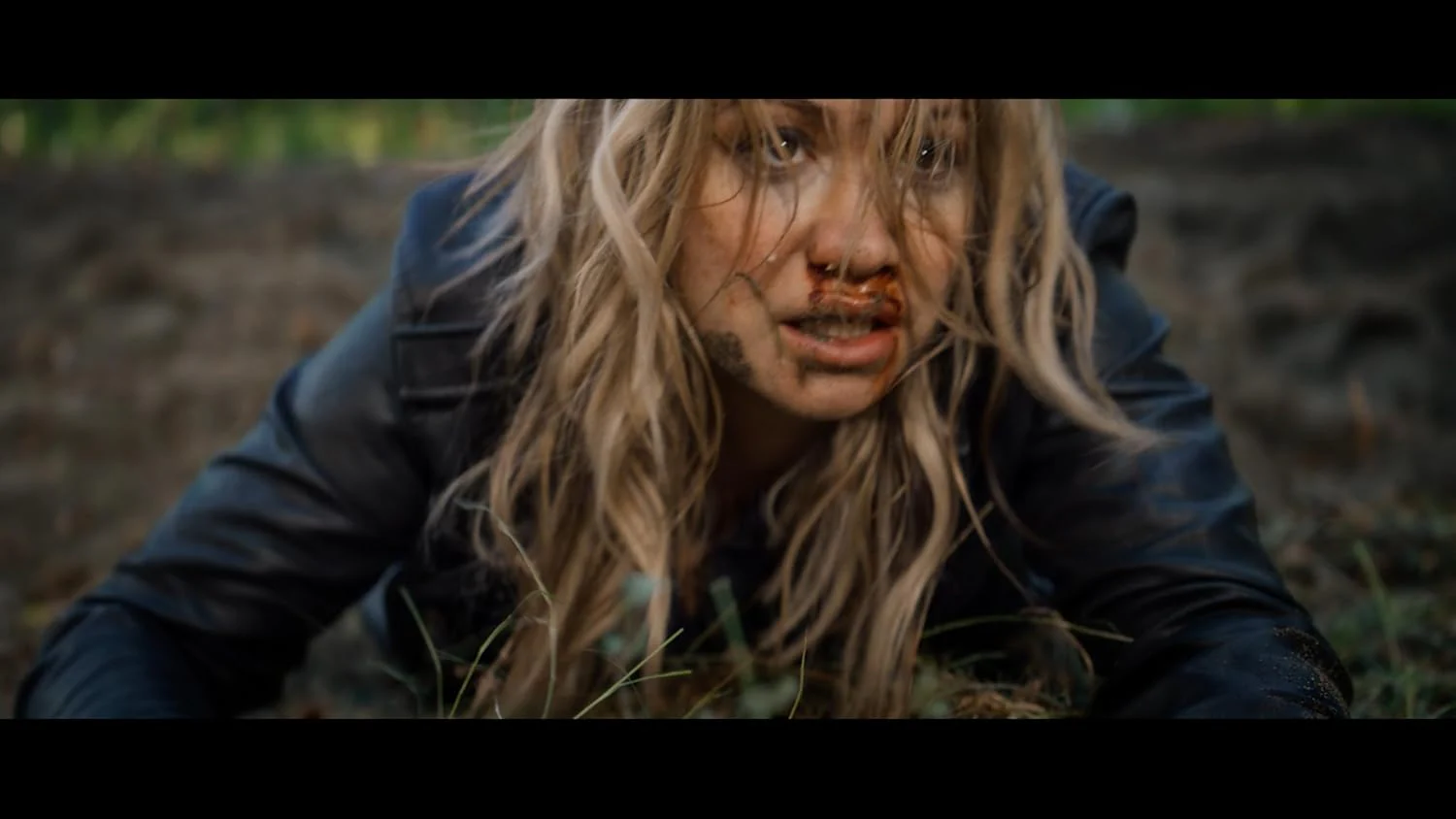 Clear Cut - Image 3