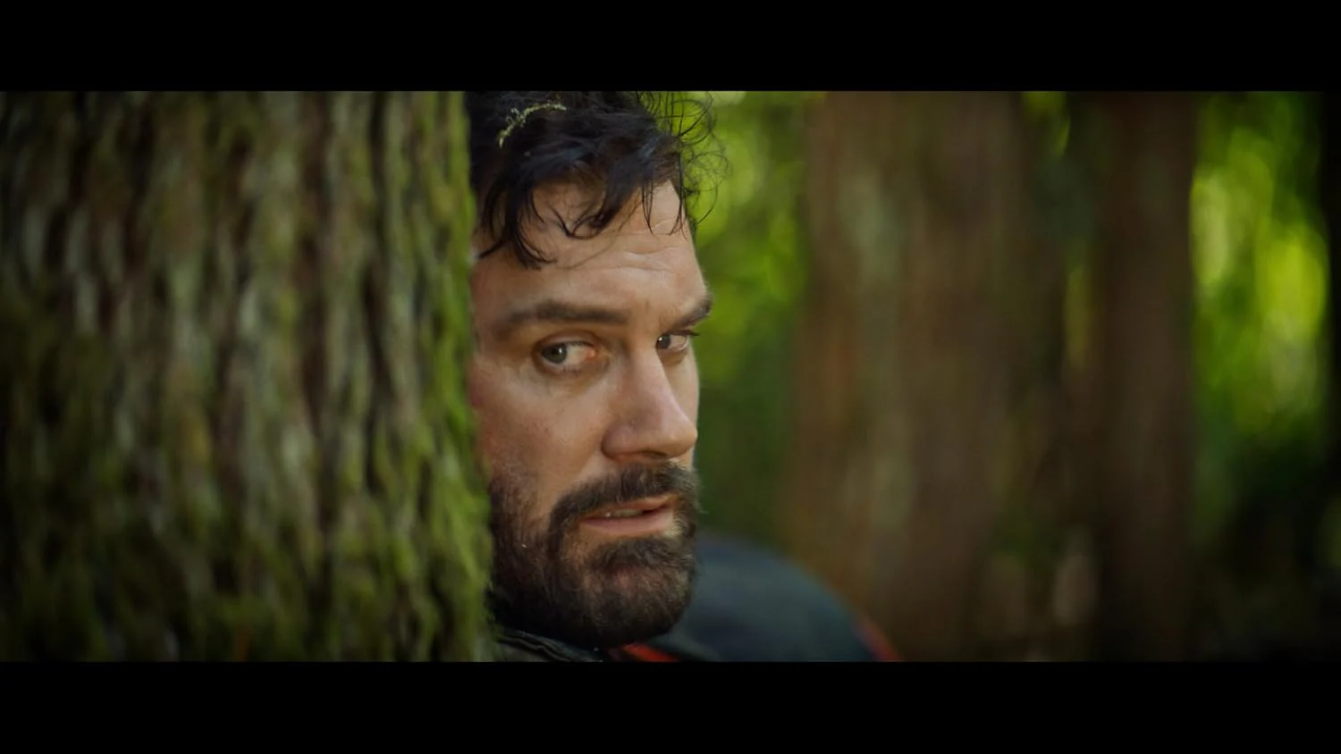 Clear Cut - Image 4