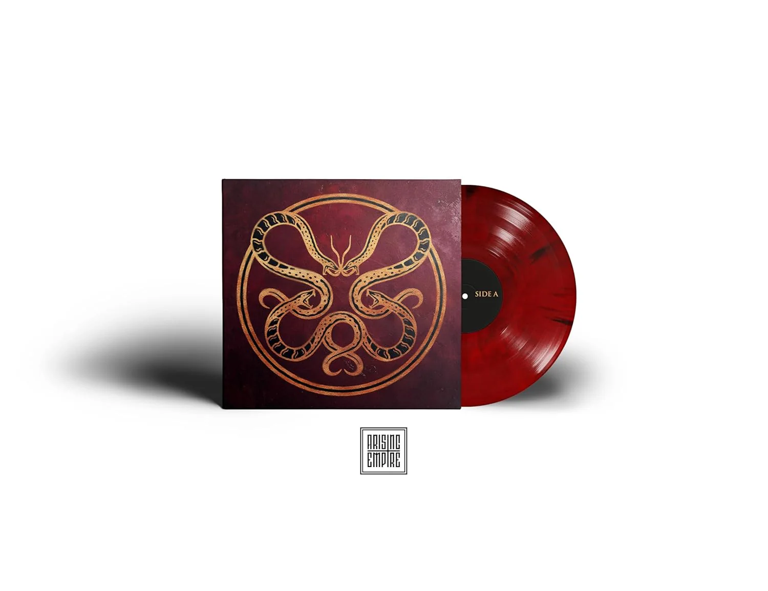 The Anatomy Of Surviving (Marbled Red LP - Image 2
