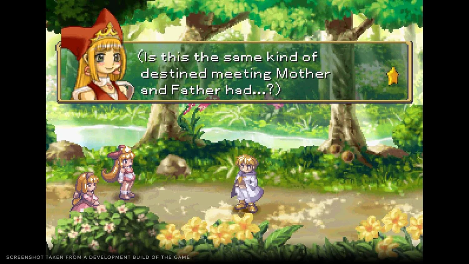 Rhapsody: Marl Kingdom Chronicles - Limited Edition (Nintendo Switch - Image 5