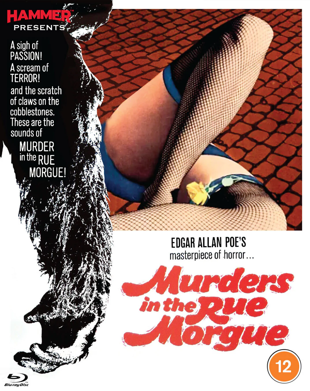 Murders in the Rue Morgue - Image 3