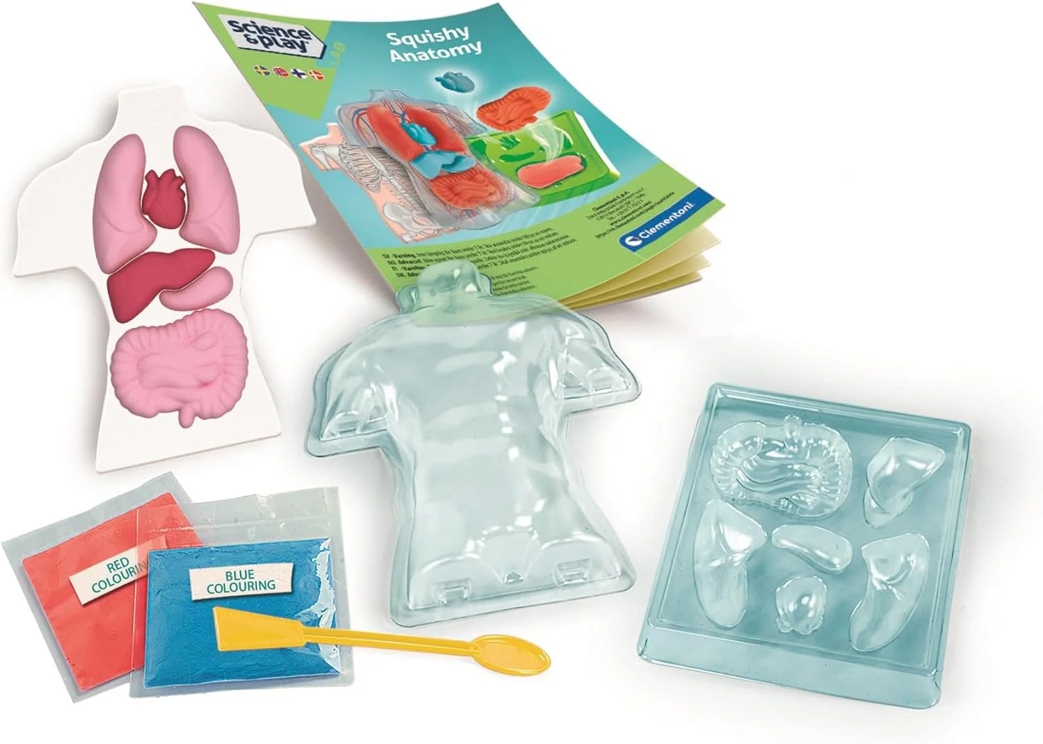 ANATOMIE SQUISHY (NORDIC - Image 4