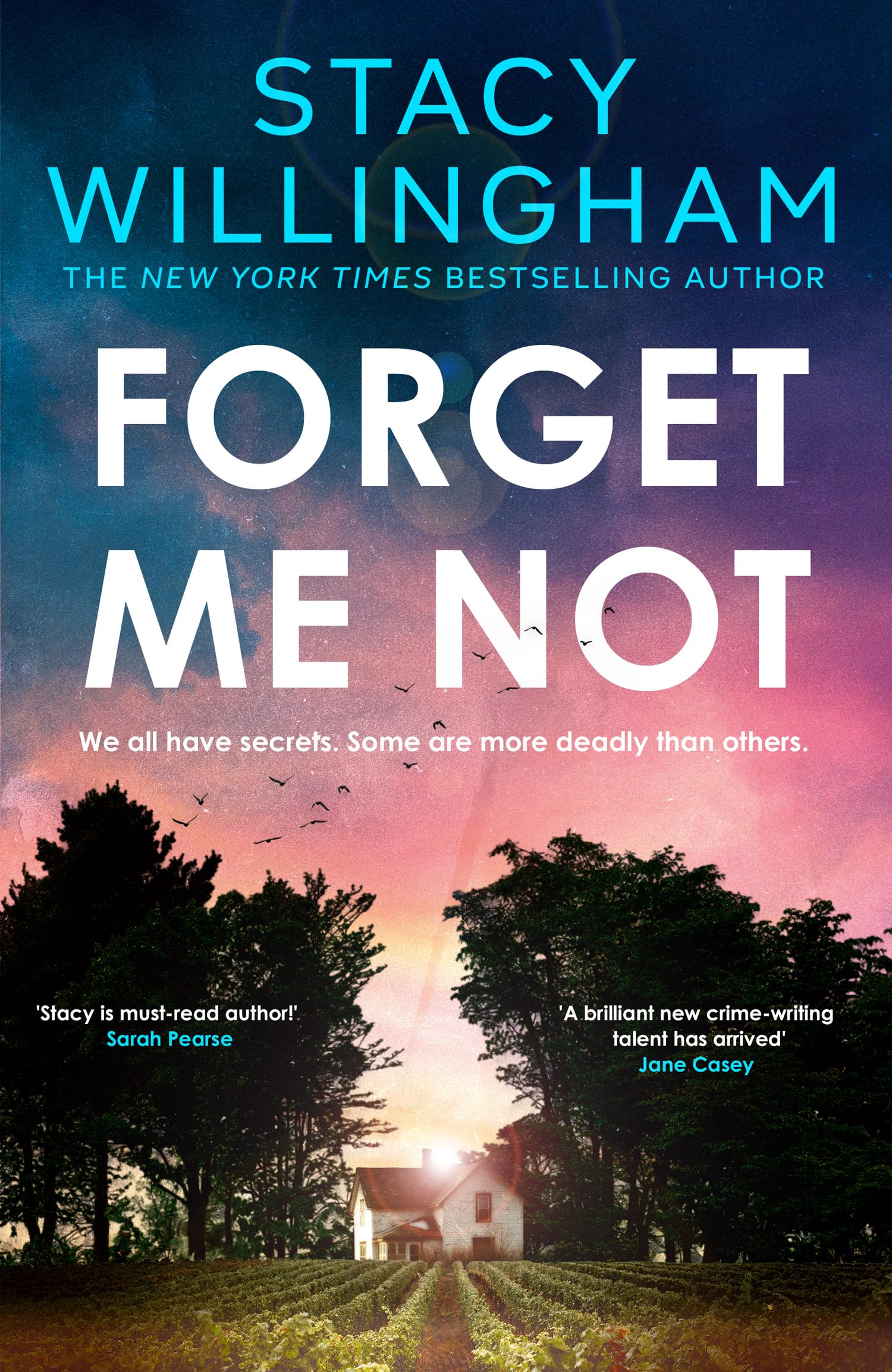 Forget Me Not - Image 2