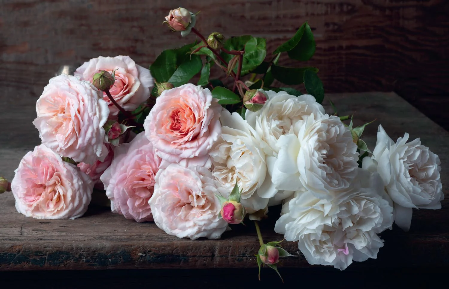Beautiful Blooms: The ultimate inspiration for anyone who loves flowers, design and photography. - Image 4