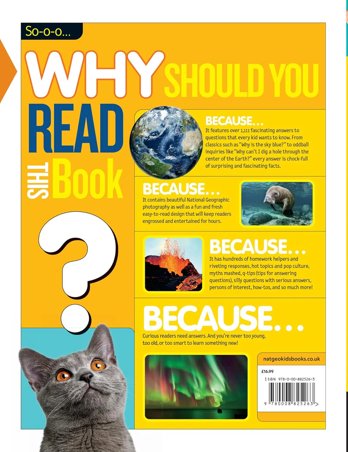 Why? Over 1,111 Answers to Everything: Over 1,111 Answers to Everything (National Geographic Kids - Image 3