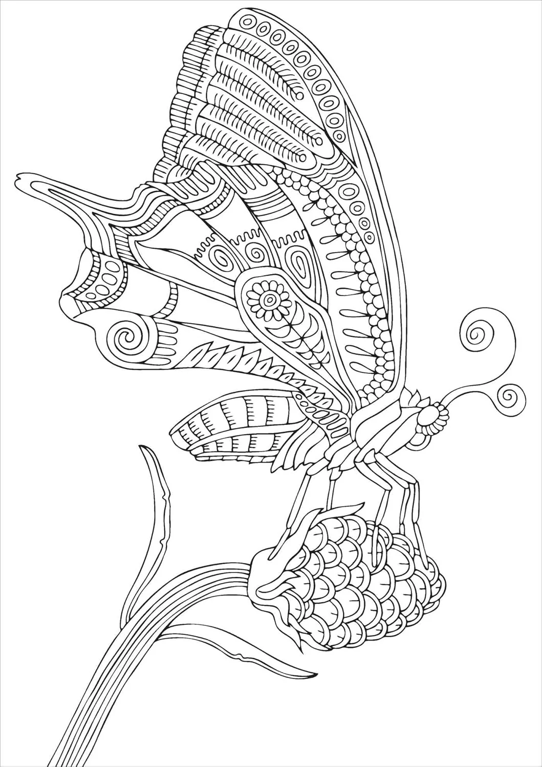 Beautiful Butterflies: Color-your-own Mindful Poster Art - Image 6