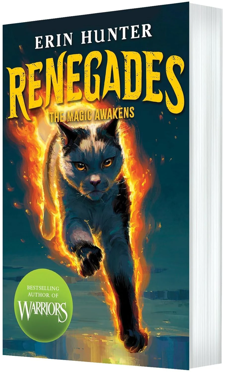 Renegades: The Magic Awakens: the brand-new fantasy series from the bestselling author of Warriors - Image 2