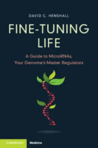 Fine-Tuning Life - Image 2