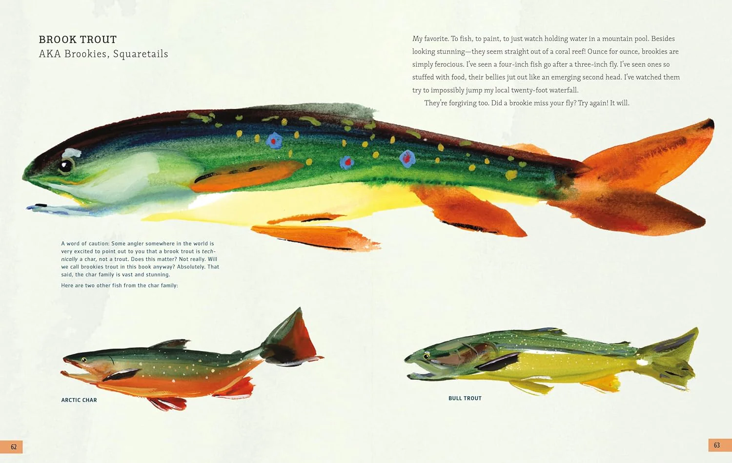 The Fly Fishing Book: An Artful Guide to Angling - Image 3