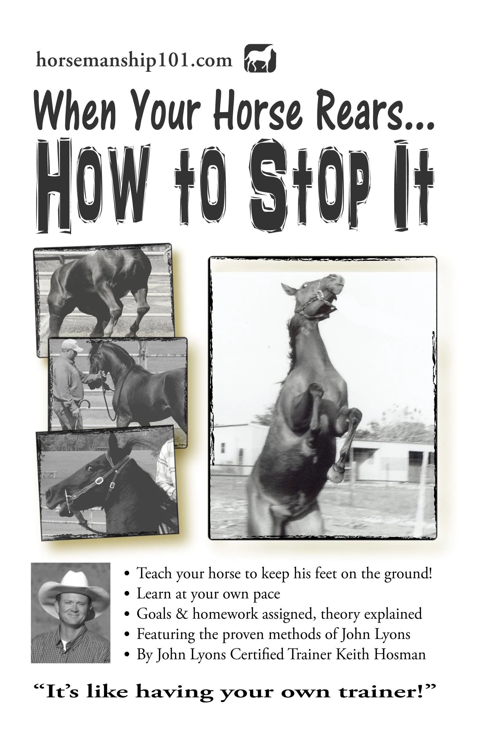 When Your Horse Rears: How to Stop It: Volume 6 (Horse Training How-To - Image 2
