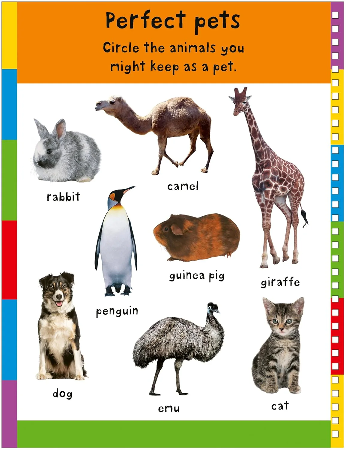 First 100 Play Book: A First 100 Words Wipe-Clean Activity Book - Image 4