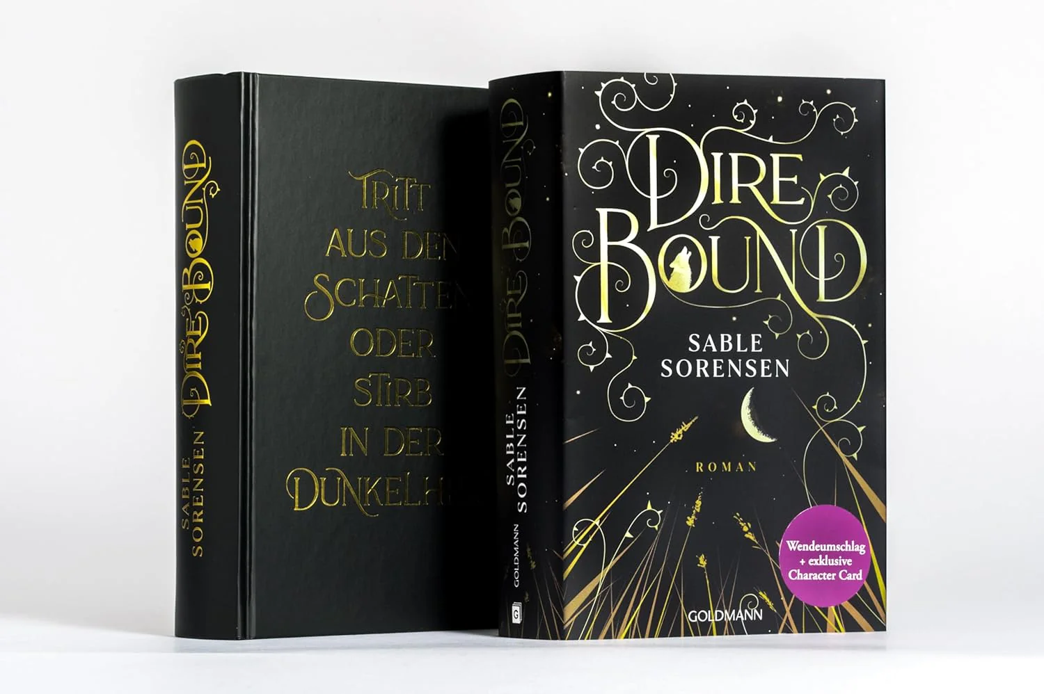Dire Bound: Roman - Hast du das Herz eines Wolfs? - Das Romantasy-Must-Read des Jahres - Limitierte Deluxe-Edition mit Wendeumschlag und exklusiver Character-Card (Die Wolves-of-Ruin Reihe, Band 1 - Image 3