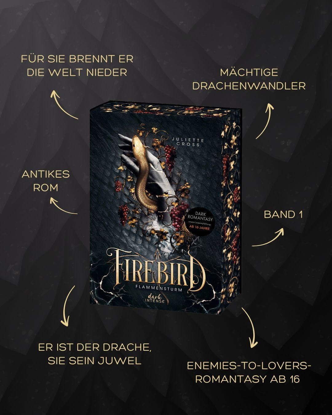 Flammensturm (Band 1) - Firebird - (German Import) - Image 3