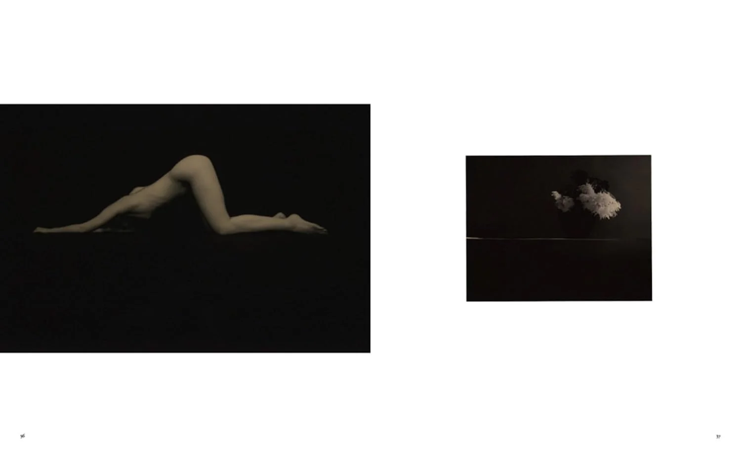 Masao Yamamoto: Small Things in Silence - Image 2