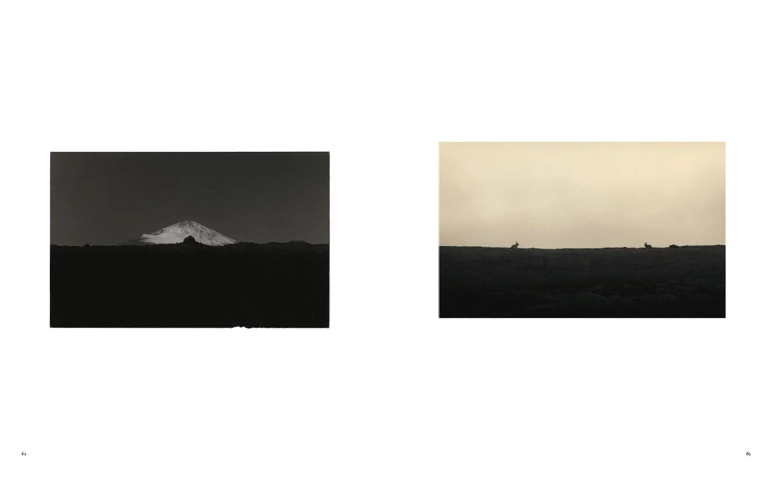 Masao Yamamoto: Small Things in Silence - Image 5