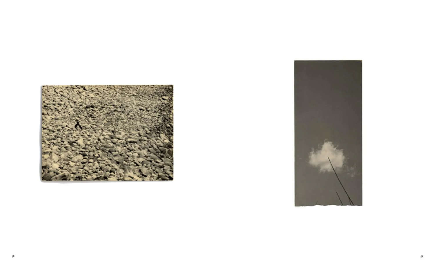 Masao Yamamoto: Small Things in Silence - Image 6