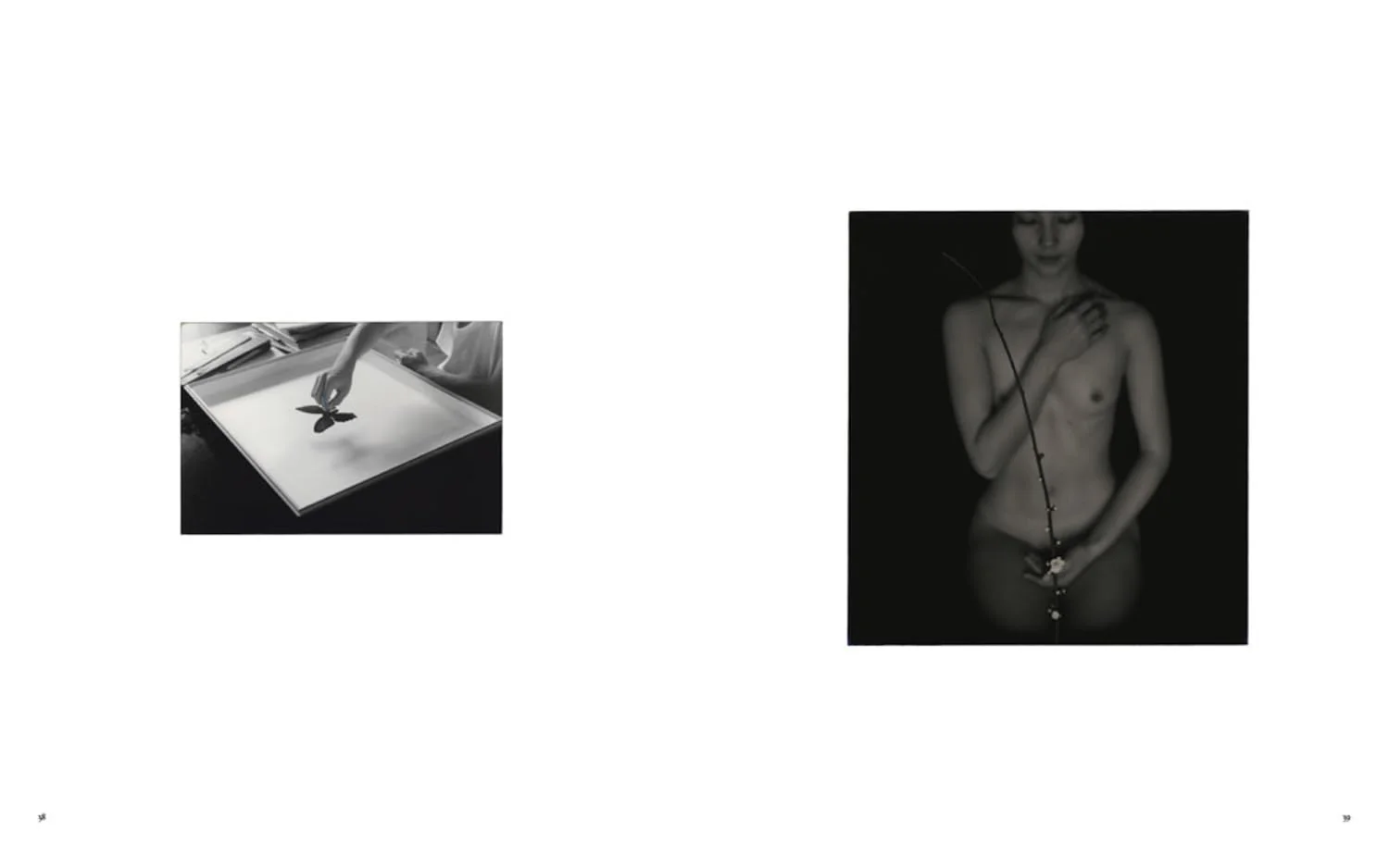 Masao Yamamoto: Small Things in Silence - Image 7