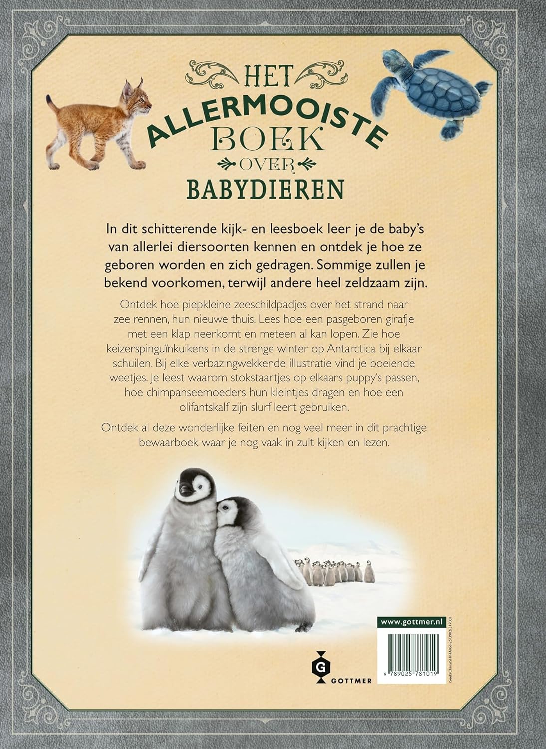 Het allermooiste boek over babydieren - Image 2