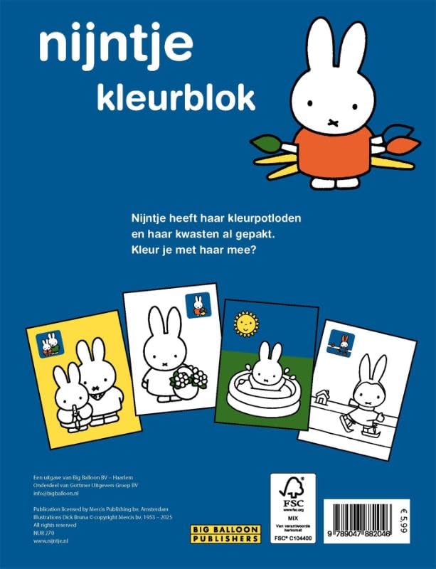 Nijntjes kleurblok - Image 2