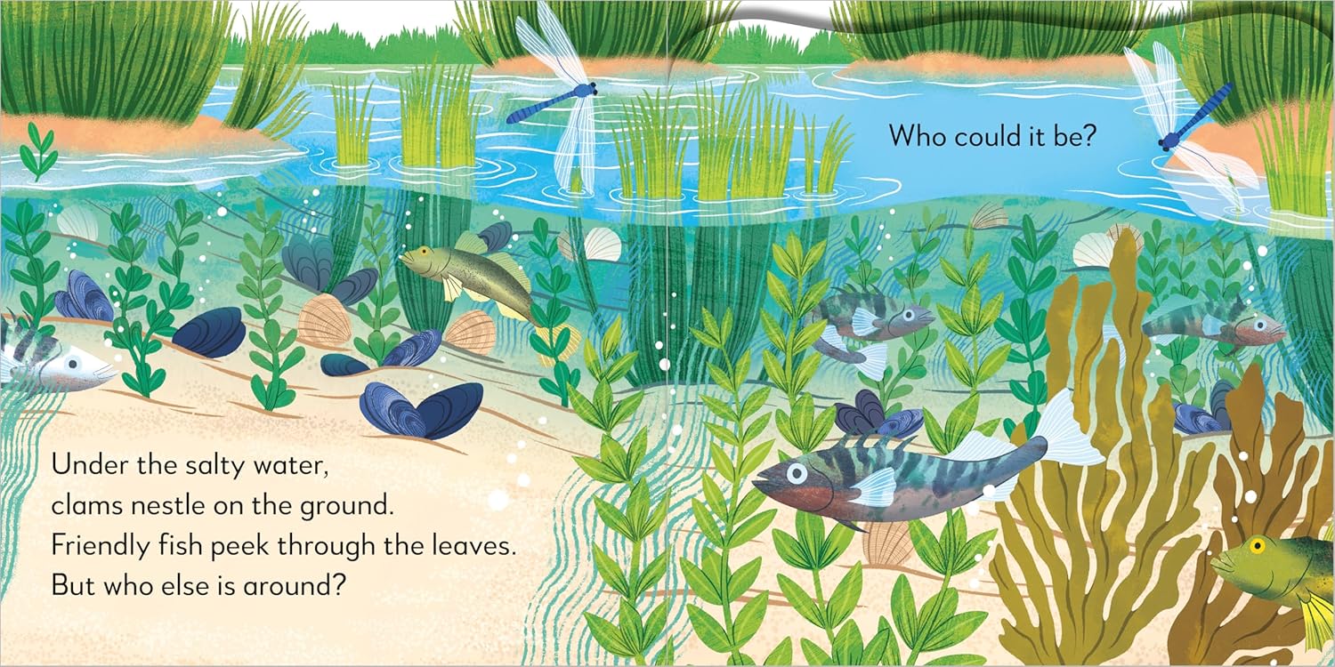 Pop-Up Peekaboo! Seashore - Image 2