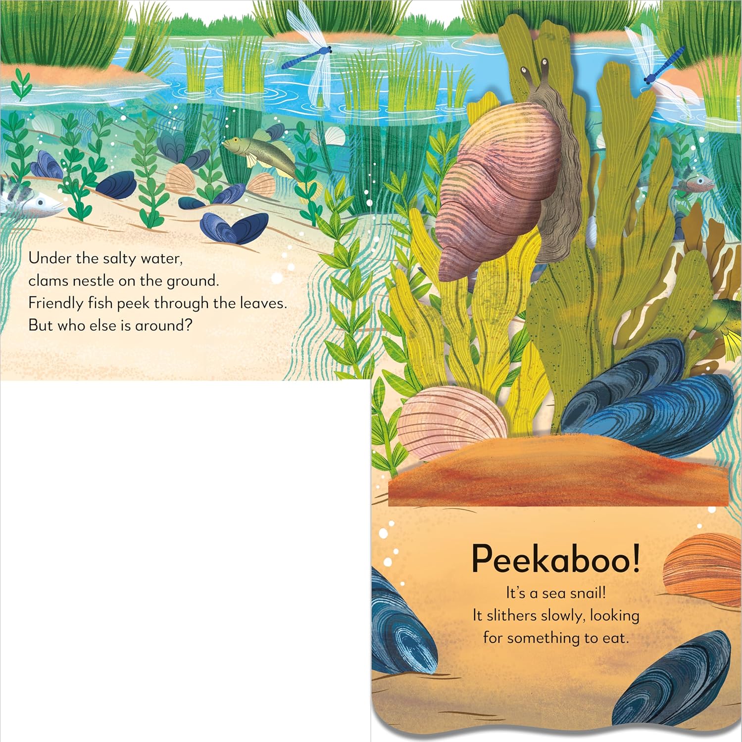 Pop-Up Peekaboo! Seashore - Image 3
