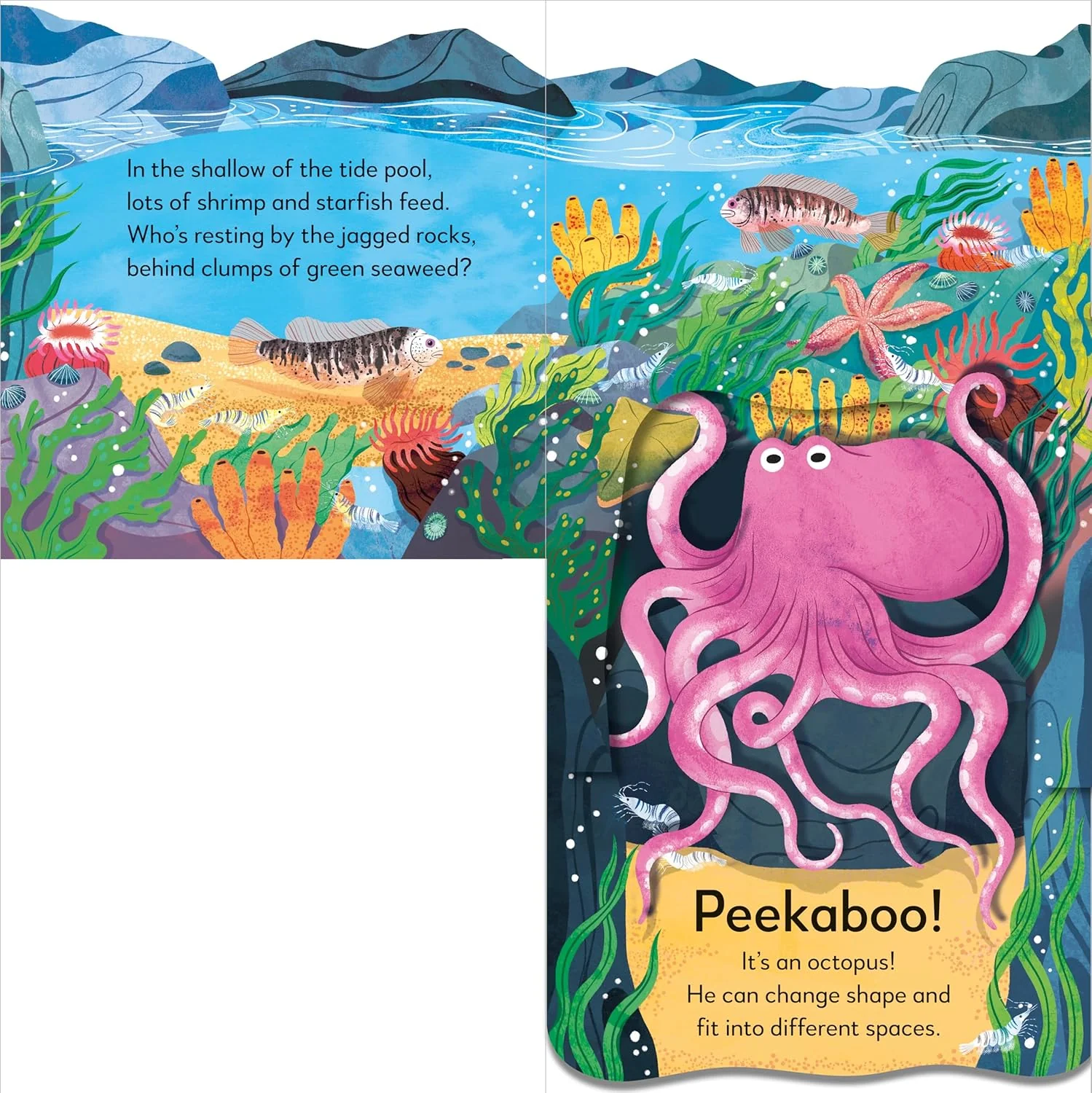 Pop-Up Peekaboo! Seashore - Image 4