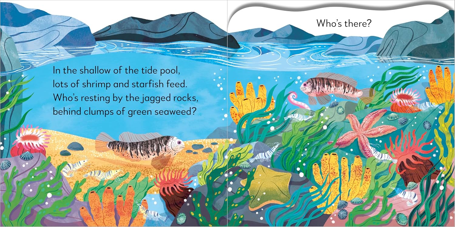 Pop-Up Peekaboo! Seashore - Image 5